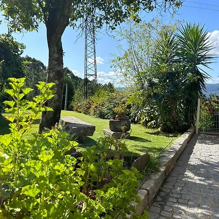 Fontainha House & Casa de Férias