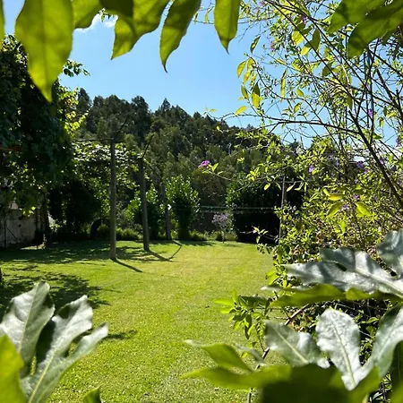 Hébergement de vacances Fontainha House & *